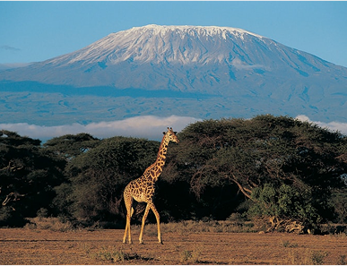 An Adventure Through Kenya’s Most Breathtaking Locations